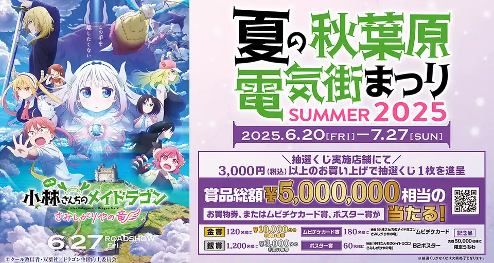 夏の秋葉原電気街まつり 2025 Akihabara Electric Town Festival Summer 2025